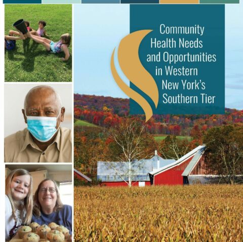 Cover of Community Health Needs in WNY's Southern Tier