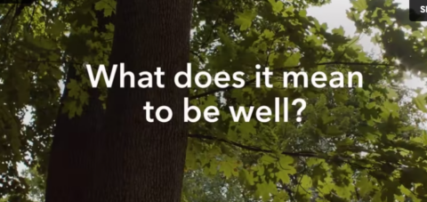 Screenshot of video reading "what does it mean to be well"